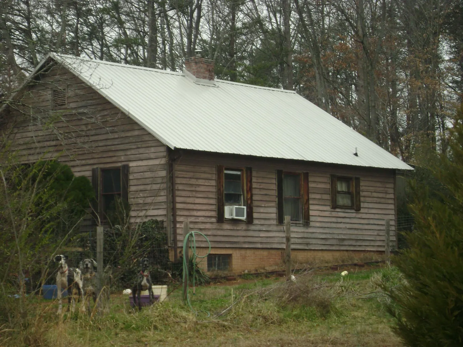 White metal roof on an old wood sided farmhouse, from a Asphalt Shingle Roof Repair job in Thomas